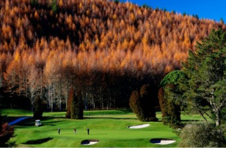 Classic North Island Golf Tour - October 21st