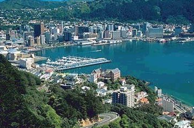 Wellington to Auckland Road Trip
