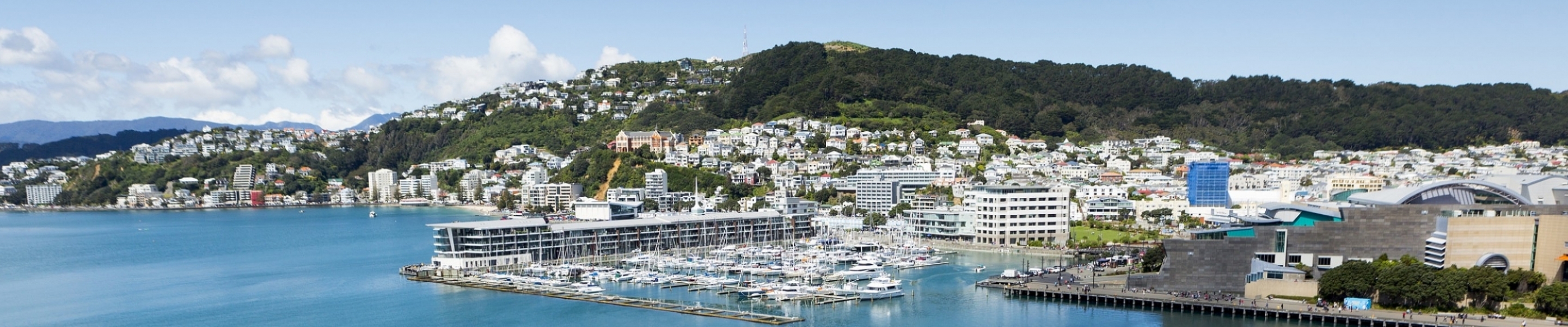 Wellington to Auckland Road Trip