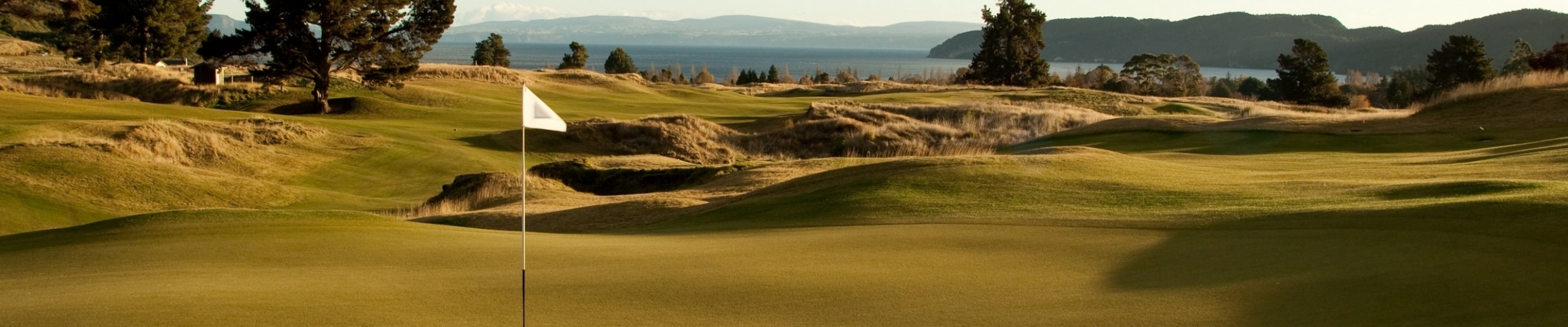 Kiwi Special - North Island Scheduled Tour